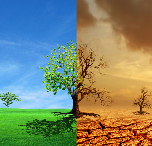 Climate Change