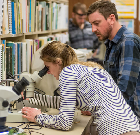 Davey Institute Lab