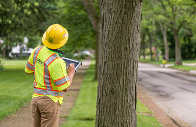 Tree Inventory Management