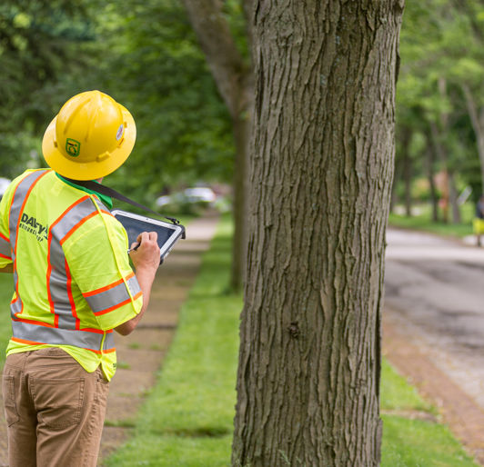 Tree Inventory Management