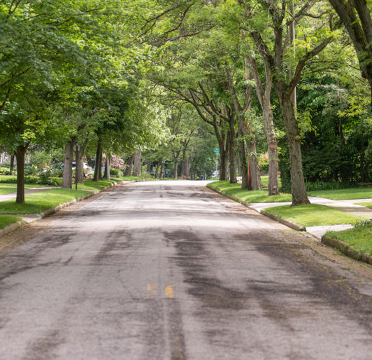 Urban Forestry Street Trees